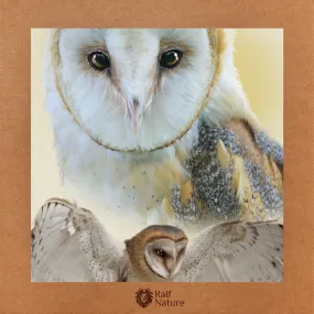 Barn Owl T-Shirt