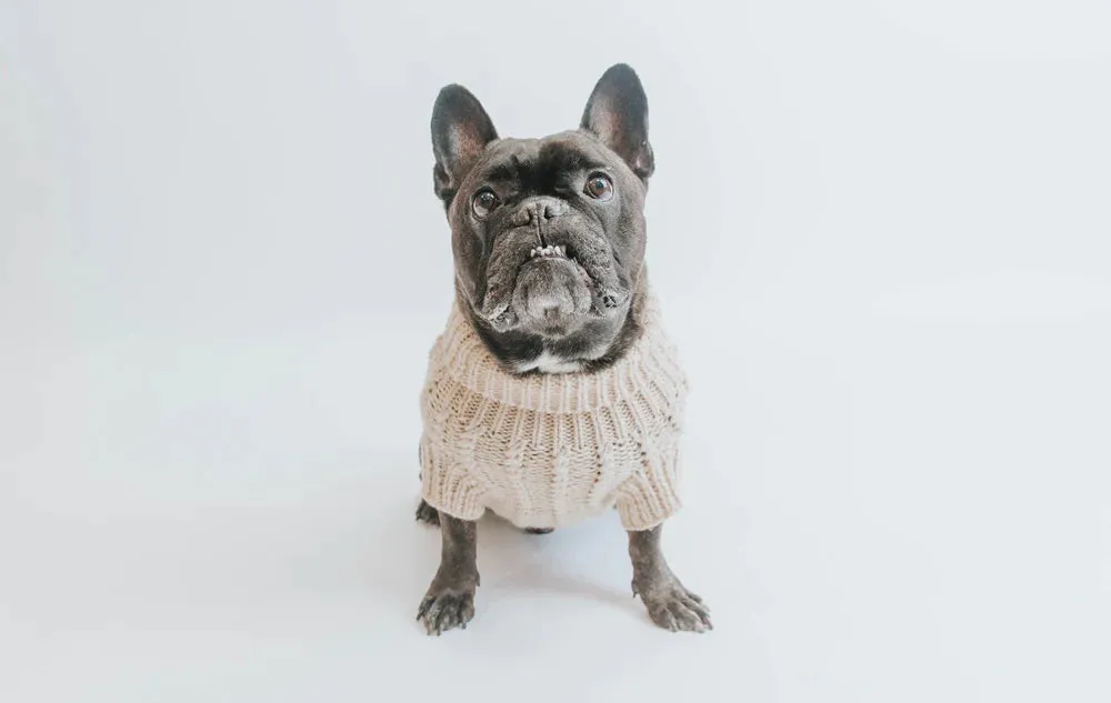 Beige Cable Knit Sweater