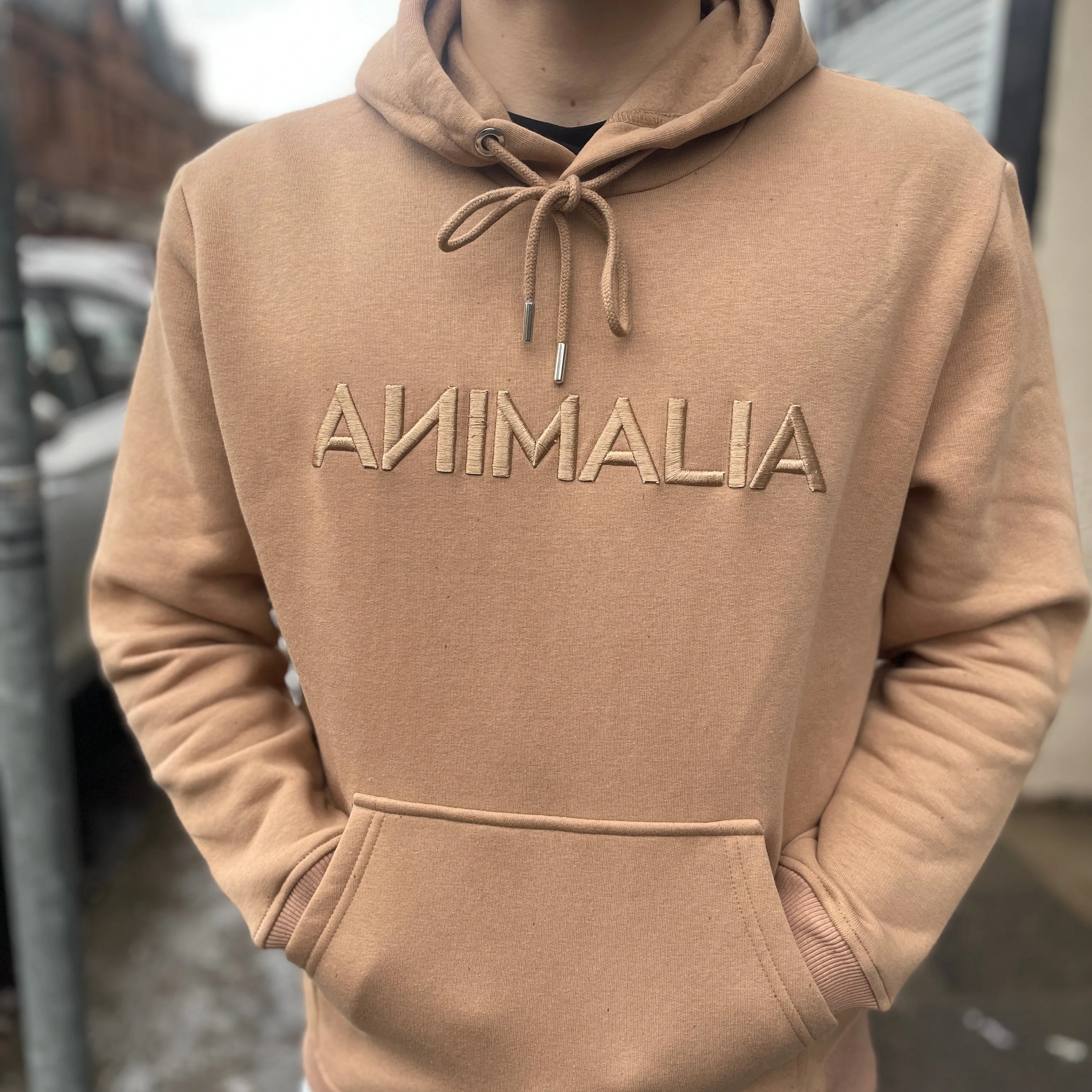 Kids Animalia Embroidered Hoodie